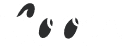 Coors Logo